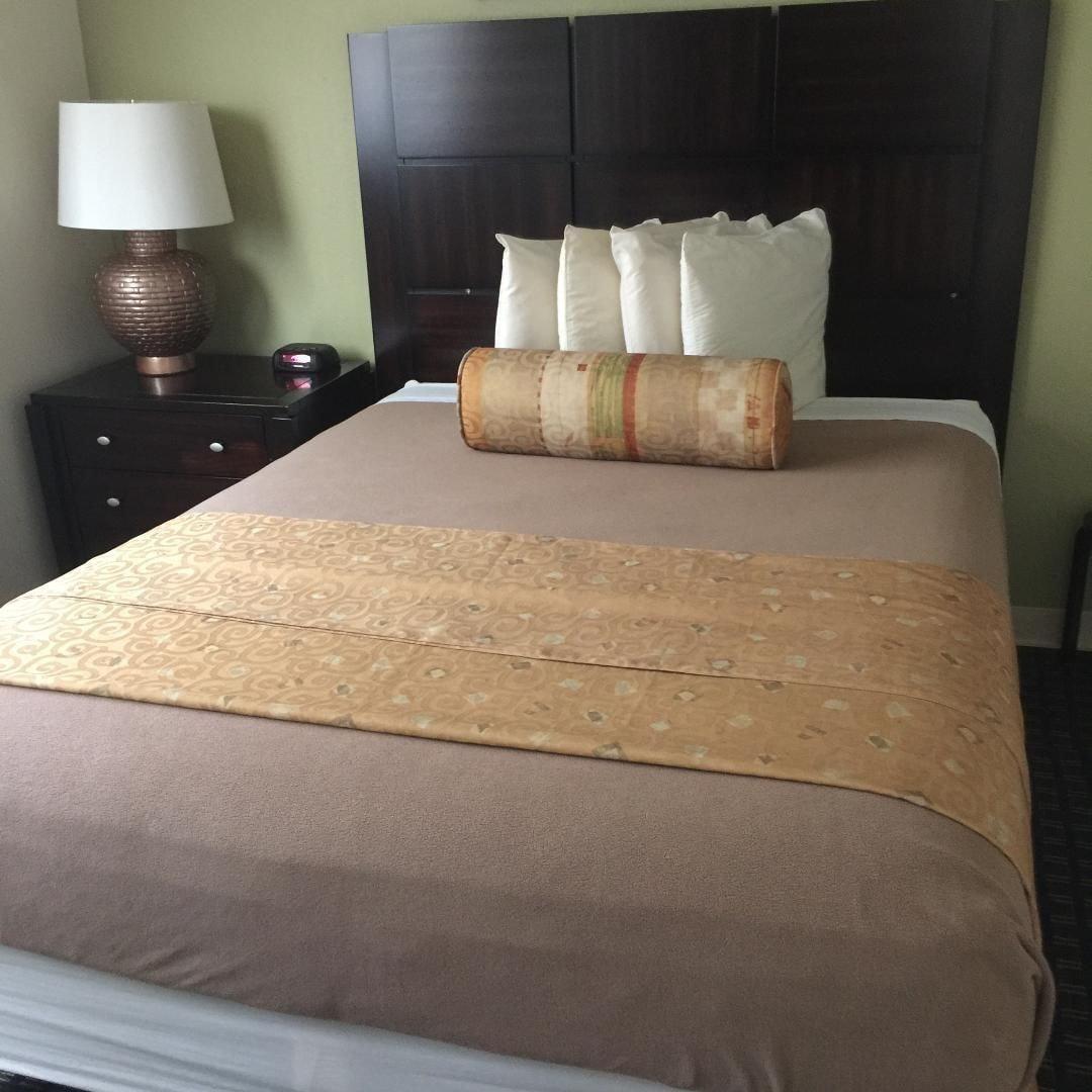 סיינט פיט ביץ' Beachside Resort Motel מראה חיצוני תמונה